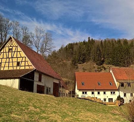 Muehlenchalet Vila Gundershofen Exterior foto